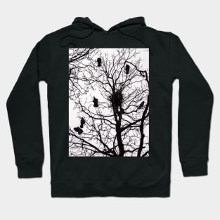 Crows Hoodie